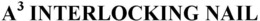 A3 INTERLOCKING NAIL trademark