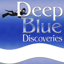 DEEP BLUE DISCOVERIES trademark