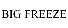 BIG FREEZE trademark