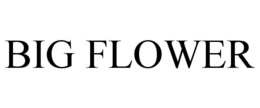 BIG FLOWER trademark