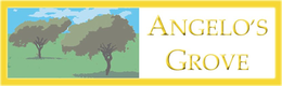 ANGELO'S GROVE trademark
