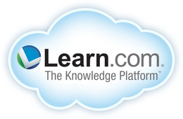 LEARN.COM THE KNOWLEDGE PLATFORM trademark