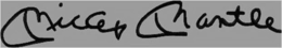 MICKEY MANTLE trademark