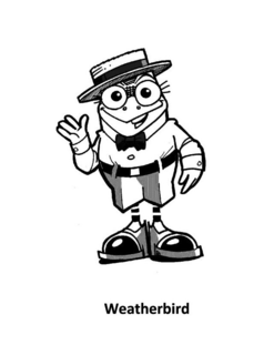 WEATHERBIRD trademark