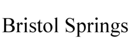BRISTOL SPRINGS trademark