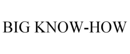 BIG KNOW-HOW trademark