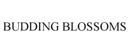 BUDDING BLOSSOMS trademark