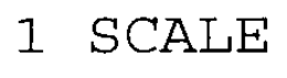 1 SCALE trademark