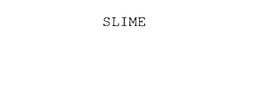 SLIME trademark