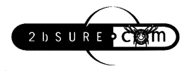 2BSURE.COM trademark