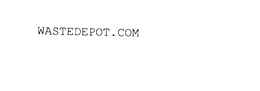 WASTEDEPOT.COM trademark