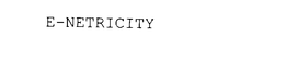 E-NETRICITY trademark