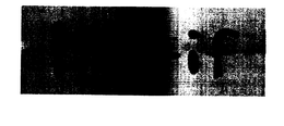 MOTIF trademark