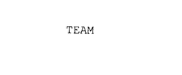 TEAM trademark