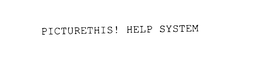 PICTURETHIS! HELP SYSTEM trademark