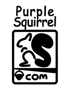 PURPLE SQUIRREL.COM trademark