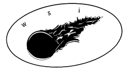 WSI trademark