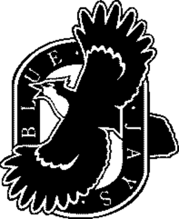 BLUE JAYS trademark