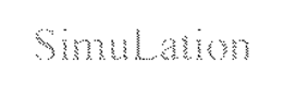 SIMULATION trademark