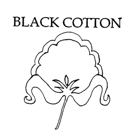 BLACK COTTON trademark