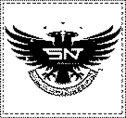 SN SPEED NATION trademark
