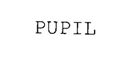 PUPIL trademark