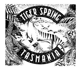 TIGER SPRING TASMANIA trademark