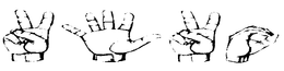 2520 trademark