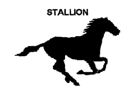 STALLION trademark