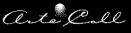 ARTECOLL trademark