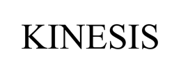 KINESIS trademark