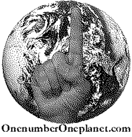 ONENUMBERONEPLANET.COM trademark