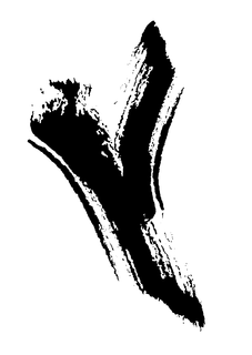 Y trademark