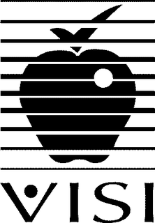 VISI trademark