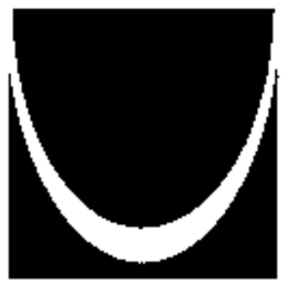 U trademark