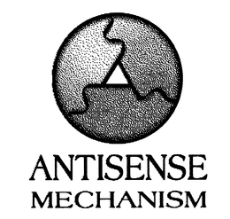 ANTISENSE MECHANISM trademark