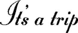 IT'S A TRIP trademark