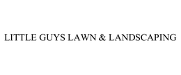 LITTLE GUYS LAWN & LANDSCAPING trademark