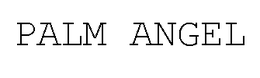 PALM ANGEL trademark