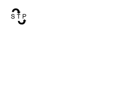 STP trademark