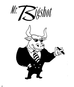 MR. BIGSHOT trademark