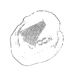 LYCON trademark