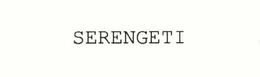 SERENGETI trademark