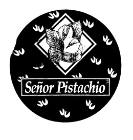SENOR PISTACHIO trademark
