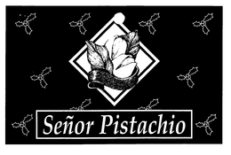 SENOR PISTACHIO trademark