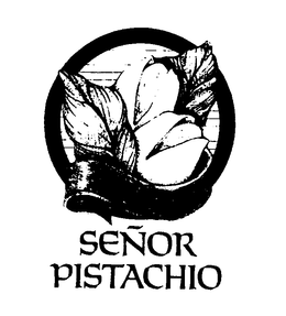 SENOR PISTACHIO trademark