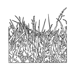 PLACE trademark