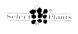 SELECT PLANTS trademark