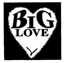 BIG LOVE trademark