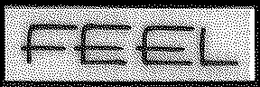 FEEL trademark